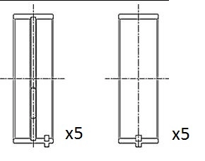 Crankshaft Bearing